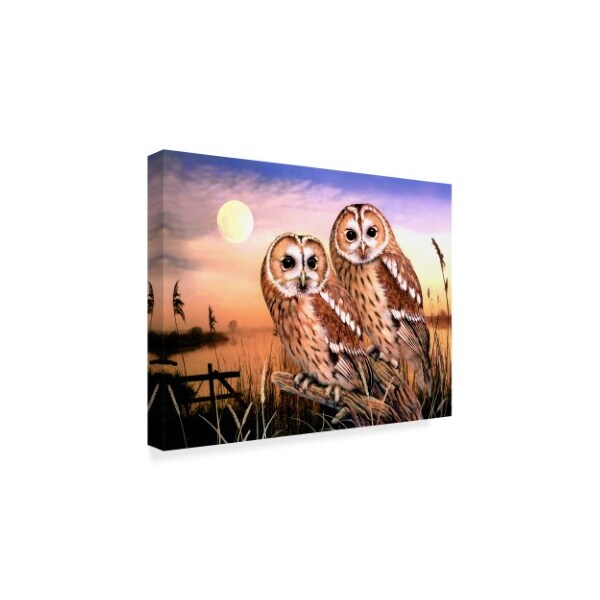 Howard Robinson 'Two Owls' Canvas Art,24x32